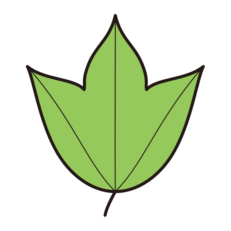 紅葉の葉っぱ（緑色）のイラスト07（トウカエデ）【色あり、背景なし】透過PNG